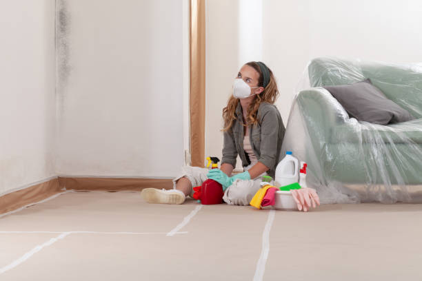 Reliable Mold Remediation contractor in Swanton, MD by WQB Mold Removal